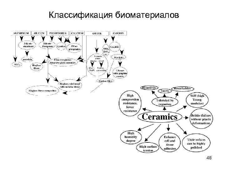 Классификация биоматериалов 48 