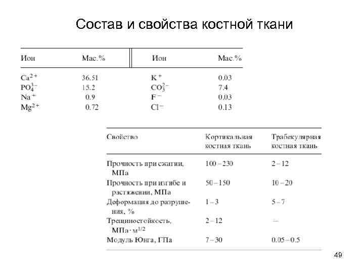 Состав и свойства костной ткани 49 