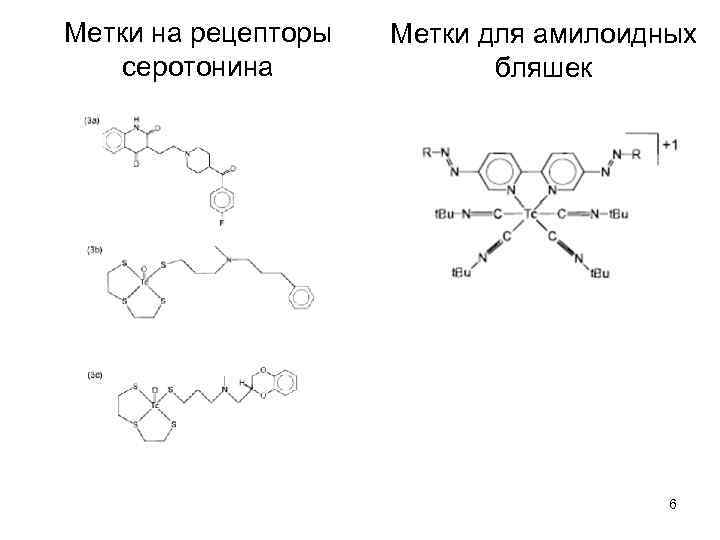 Метки на рецепторы серотонина Метки для амилоидных бляшек 6 