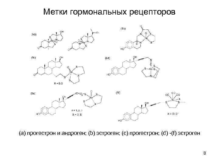 Схема образования андрогенов