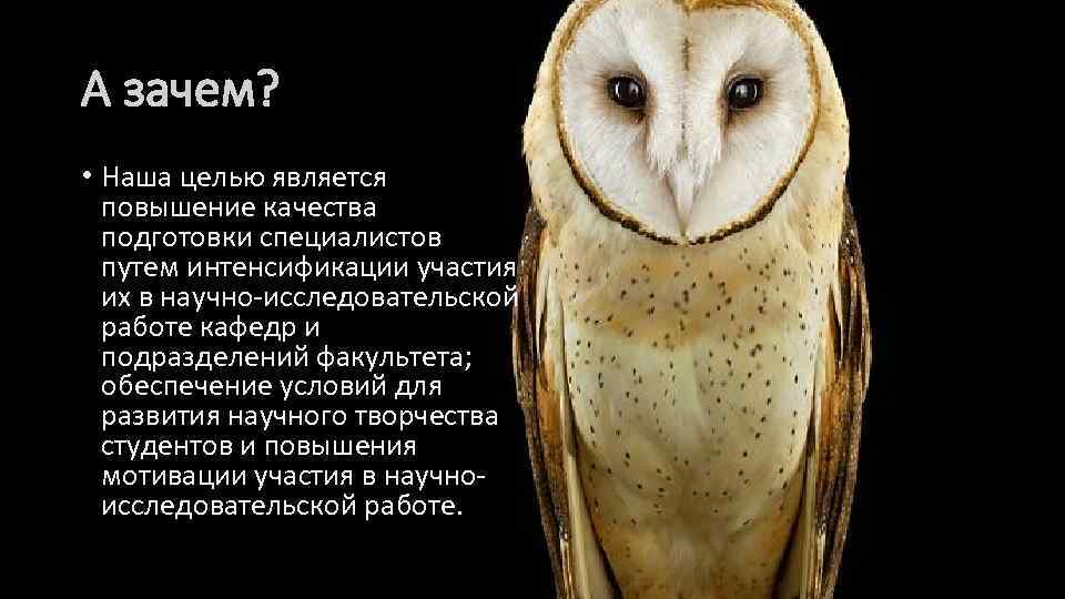 А зачем? • Наша целью является повышение качества подготовки специалистов путем интенсификации участия их