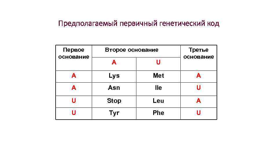 Предполагаемый первичный генетический код Первое основание Второе основание Третье основание A U А Lys