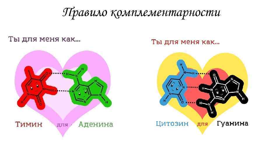 Правило комплементарности 