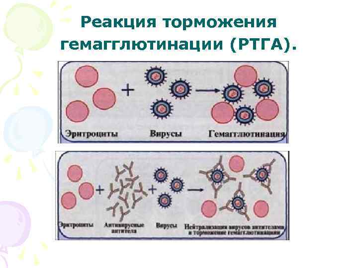Реакция торможения гемагглютинации (РТГА). 