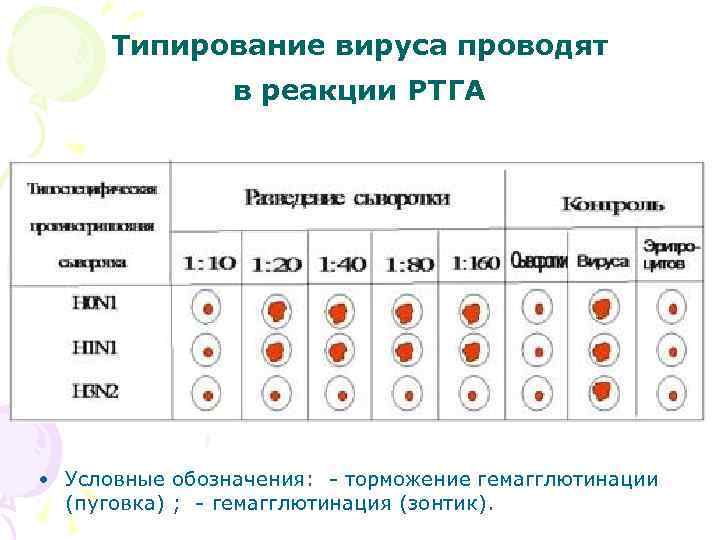 Типирование вируса проводят в реакции РТГА • Условные обозначения: - торможение гемагглютинации (пуговка) ;