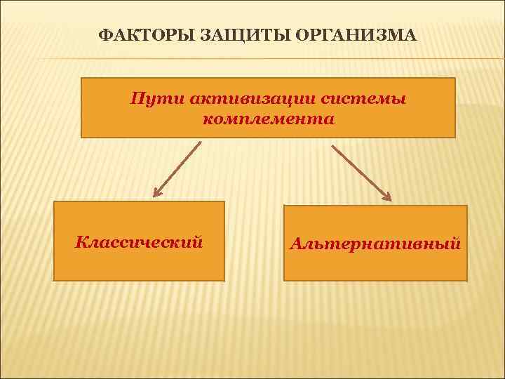 ФАКТОРЫ ЗАЩИТЫ ОРГАНИЗМА Пути активизации системы комплемента Классический Альтернативный 