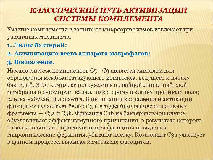 КЛАССИЧЕСКИЙ ПУТЬ АКТИВИЗАЦИИ СИСТЕМЫ КОМПЛЕМЕНТА Участие комплемента в защите от микроорганизмов вовлекает три различных