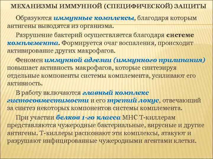 МЕХАНИЗМЫ ИММУННОЙ (СПЕЦИФИЧЕСКОЙ) ЗАЩИТЫ Образуются иммунные комплексы, благодаря которым антигены выводятся из организма. Разрушение