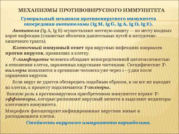 МЕХАНИЗМЫ ПРОТИВОВИРУСНОГО ИММУНИТЕТА Гуморальный механизм противовирусного иммунитета опосредован антителами (Ig M, Ig G, Ig
