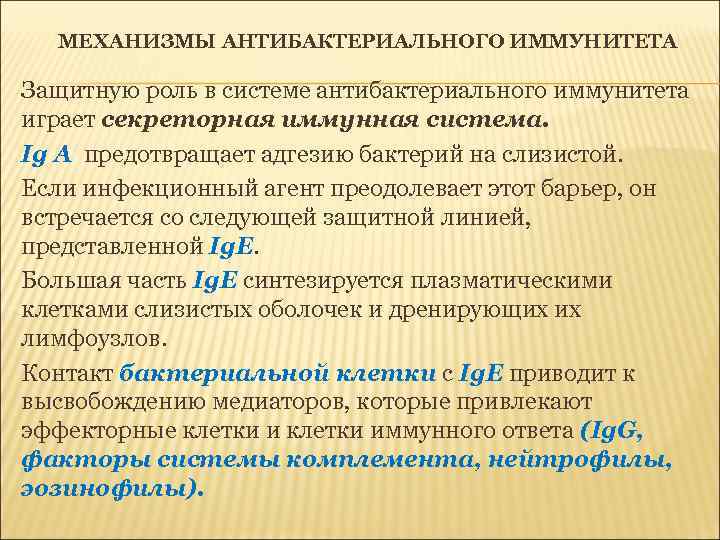 МЕХАНИЗМЫ АНТИБАКТЕРИАЛЬНОГО ИММУНИТЕТА Защитную роль в системе антибактериального иммунитета играет секреторная иммунная система. Ig