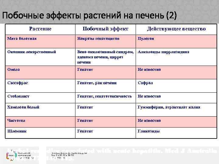 Побочные эффекты растений на печень (2) Растение Побочный эффект Действующее вещество Мята болотная Некрозы