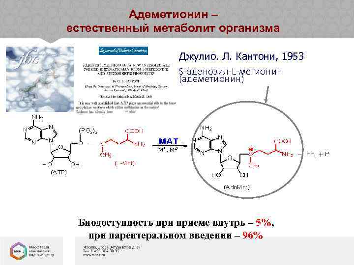 Адеметионин – естественный метаболит организма Джулио. Л. Кантони, 1953 S-аденозил-L-метионин (адеметионин) Биодоступность приеме внутрь