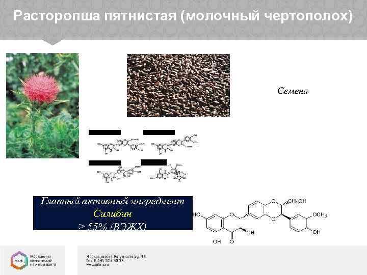 Расторопша пятнистая (молочный чертополох) Семена Силибинин Силикристин Изосилибинин Силидианин Главный активный ингредиент Силибин ≥