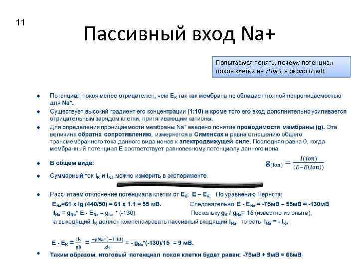 11 Пассивный вход Na+ Попытаемся понять, почему потенциал покоя клетки не 75 м. В,