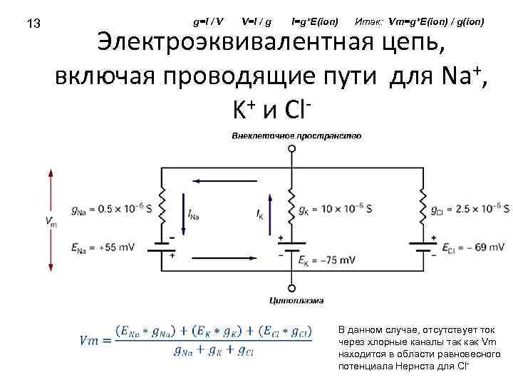 g=I / V 13 V=I / g I=g*E(ion) Итак: Vm=g*E(ion) / g(ion) Электроэквивалентная цепь,