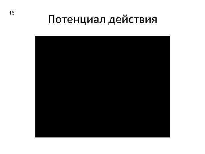 15 Потенциал действия 