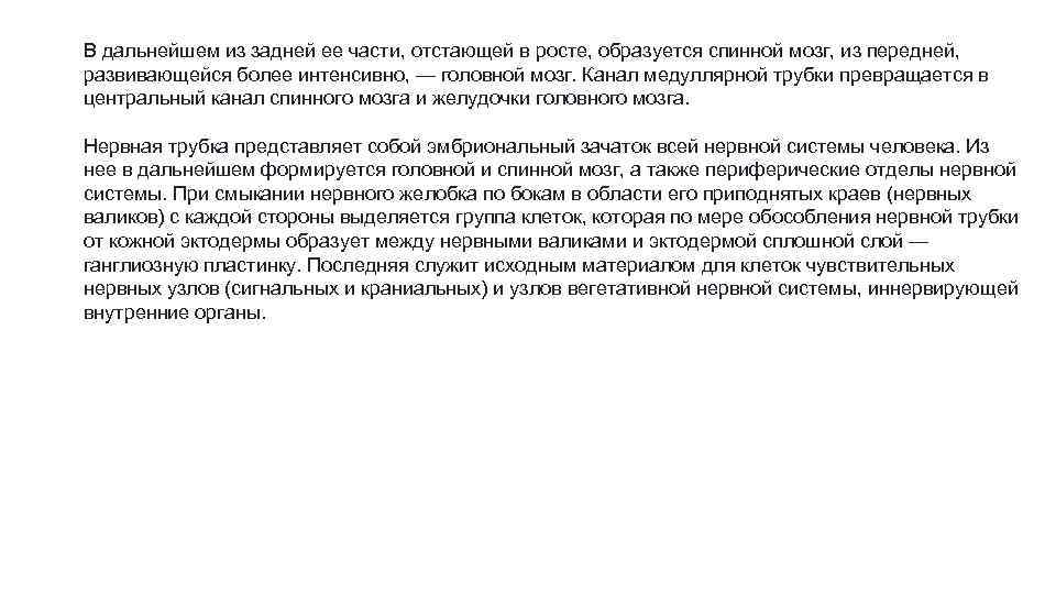 В дальнейшем из задней ее части, отстающей в росте, образуется спинной мозг, из передней,