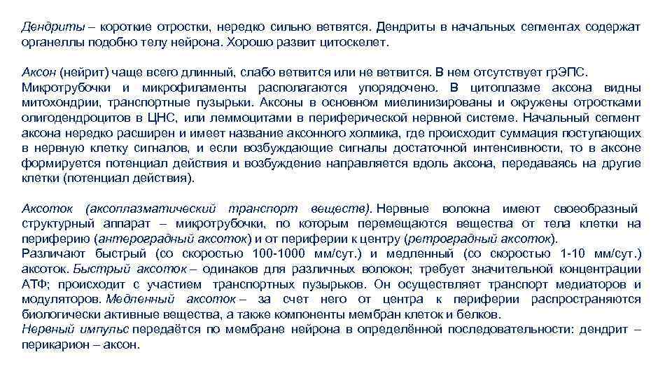 Дендриты – короткие отростки, нередко сильно ветвятся. Дендриты в начальных сегментах содержат органеллы подобно