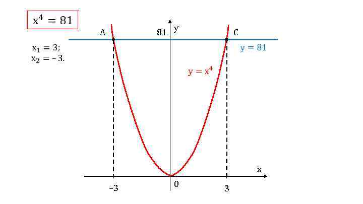  81 y A C x – 3 0 3 