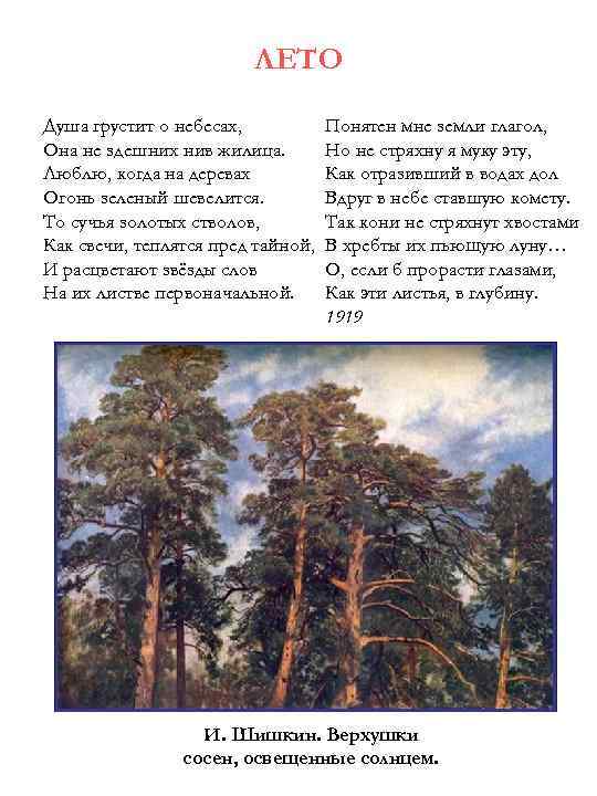 ЛЕТО Душа грустит о небесах, Она не здешних нив жилица. Люблю, когда на деревах