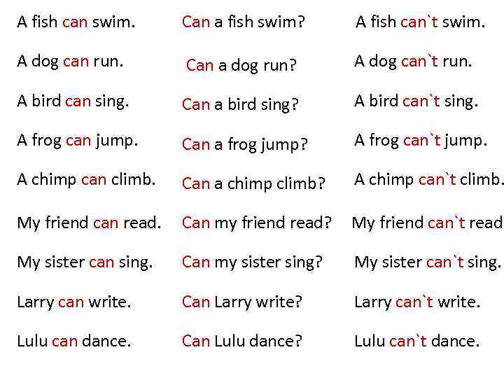 A fish can swim. Can a fish swim? A fish can`t swim. A dog
