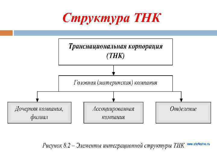 Структура ТНК 