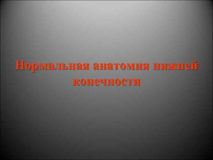 Нормальная анатомия нижней конечности 
