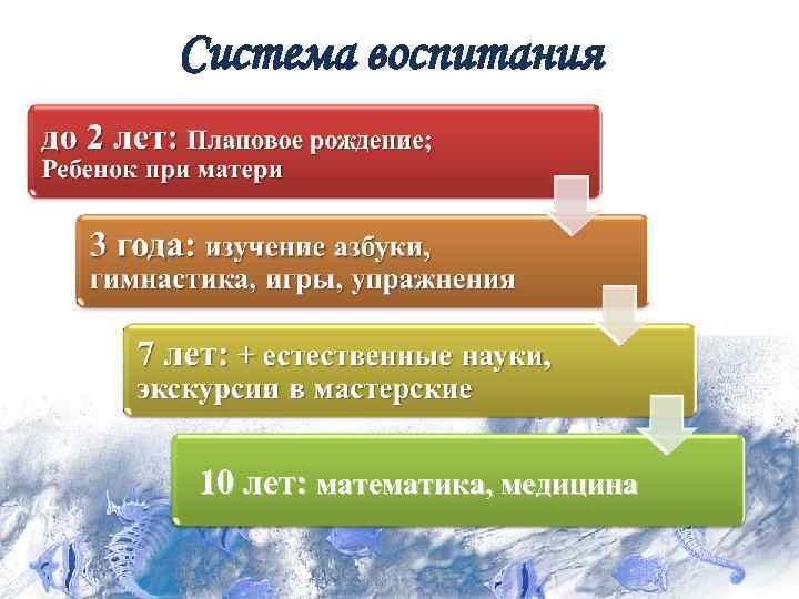 Система воспитания 10 лет: математика, медицина 