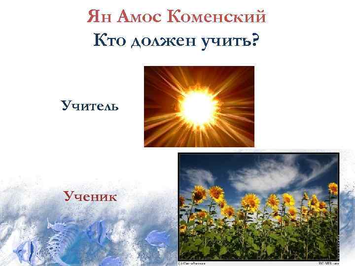 Ян Амос Коменский Кто должен учить? Учитель Ученик 