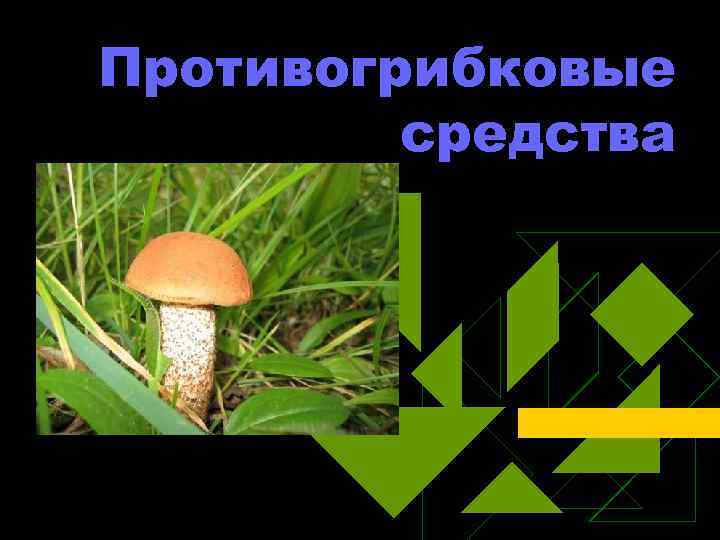 Противогрибковые средства 