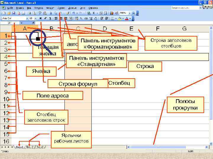 Маркер инструментов Панель автозаполнения «Форматирование» Текущая ячейка Панель инструментов «Стандартная» Ячейка Строка формул Поле