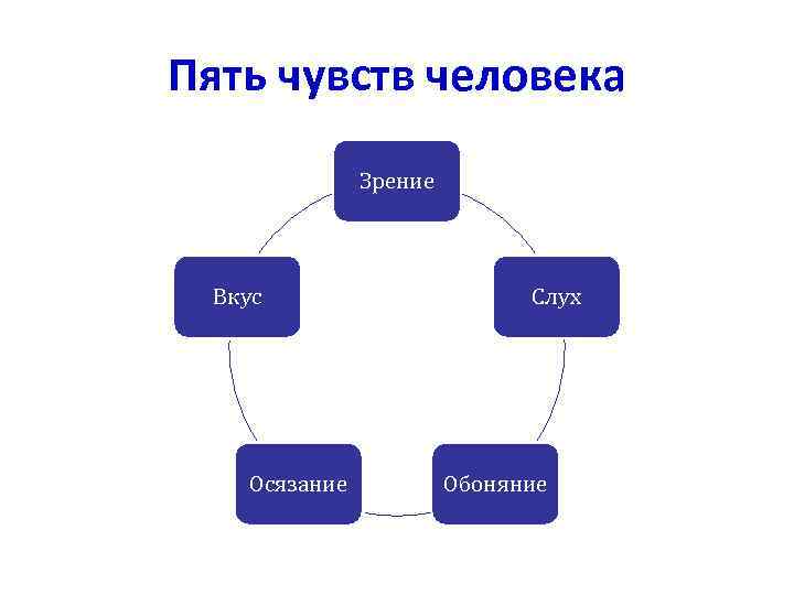 Пять чувств человека Зрение Вкус Осязание Слух Обоняние 