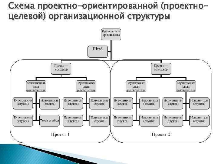 Проектная организационная структура управления проектом