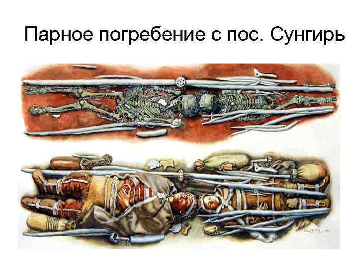 Парное погребение с пос. Сунгирь 