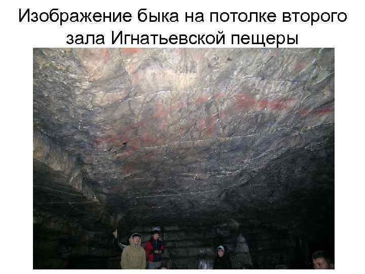 Изображение быка на потолке второго зала Игнатьевской пещеры 