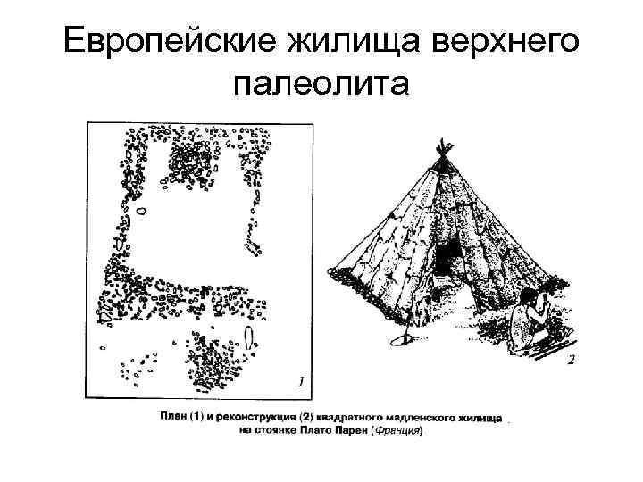 Европейские жилища верхнего палеолита 