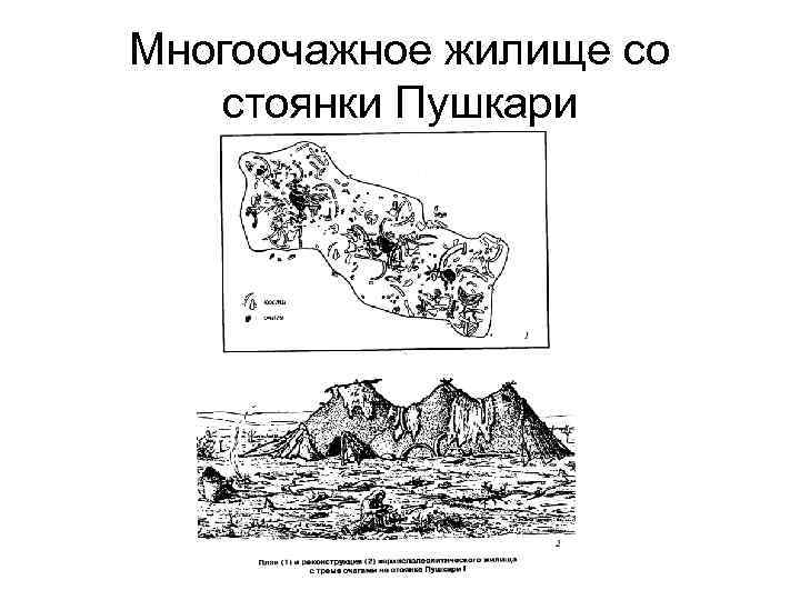 Многоочажное жилище со стоянки Пушкари 
