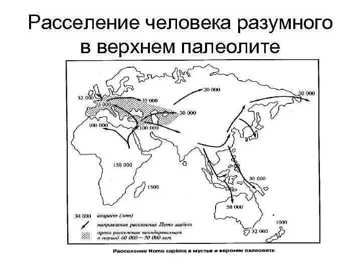 Расселение человека разумного в верхнем палеолите 