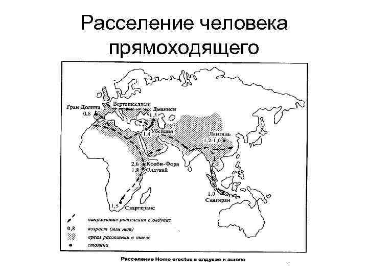 Расселение человека прямоходящего 