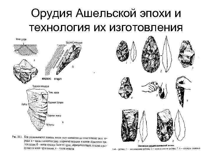 Орудия Ашельской эпохи и технология их изготовления 