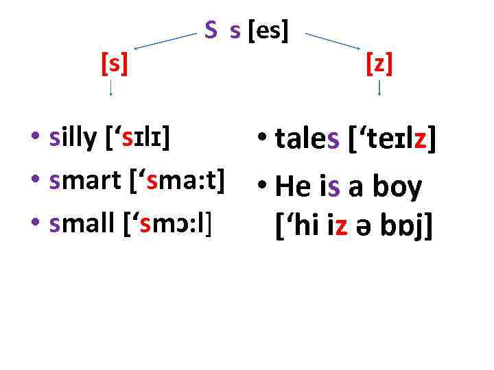 [s] S s [es] [z] • silly [‘sɪlɪ] • tales [‘teɪlz] • smart [‘sma: