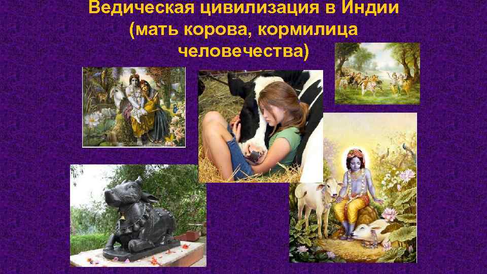 Ведическая цивилизация в Индии (мать корова, кормилица человечества) 
