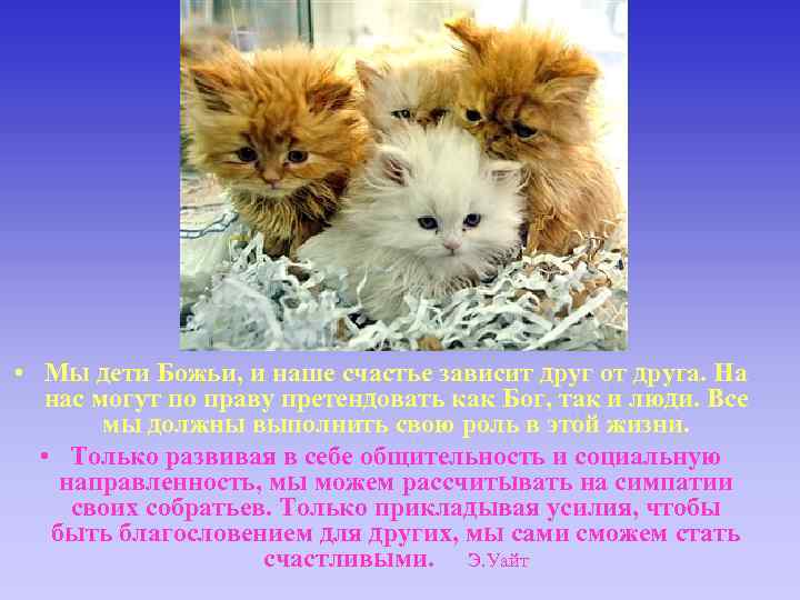  • Мы дети Божьи, и наше счастье зависит друг от друга. На нас