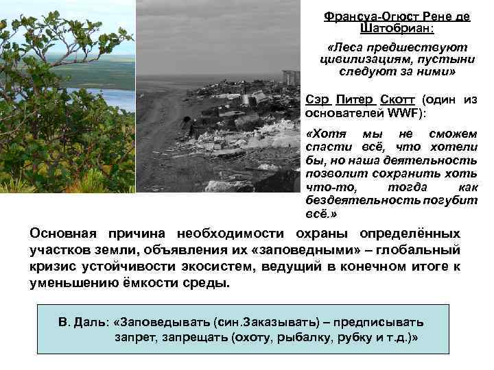 Франсуа-Огюст Рене де Шатобриан: «Леса предшествуют цивилизациям, пустыни следуют за ними» Сэр Питер Скотт