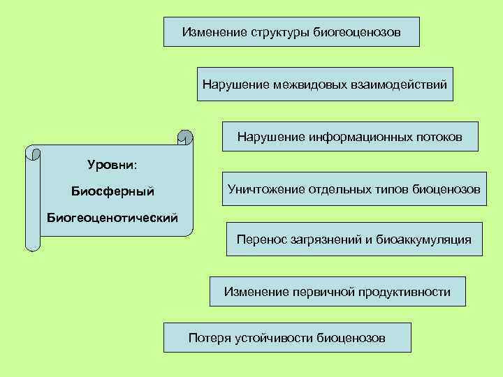 Изменение структуры биогеоценозов Нарушение межвидовых взаимодействий Нарушение информационных потоков Уровни: Биосферный Уничтожение отдельных типов