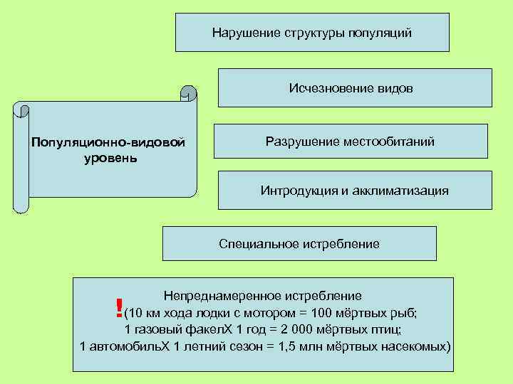 Нарушение структуры популяций Исчезновение видов Популяционно-видовой уровень Разрушение местообитаний Интродукция и акклиматизация Специальное истребление