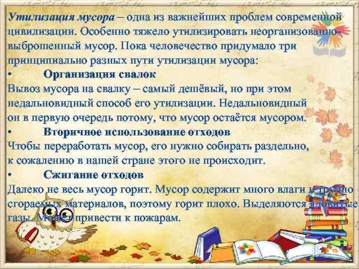 Утилизация мусора – одна из важнейших проблем современной цивилизации. Особенно тяжело утилизировать неорганизованновыброшенный мусор.