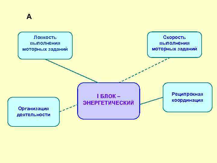 А Скорость выполнения моторных заданий Ловкость выполнения моторных заданий I БЛОК – ЭНЕРГЕТИЧЕСКИЙ Организация