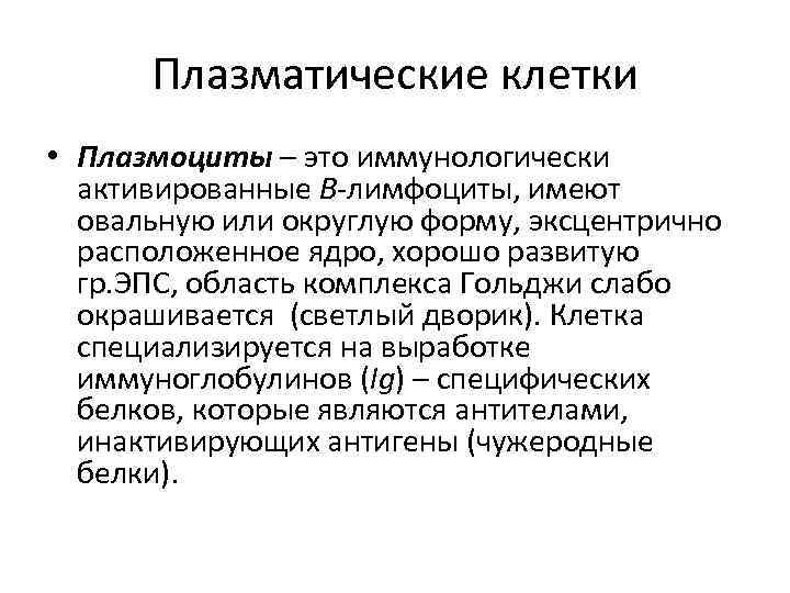 Плазматические клетки • Плазмоциты – это иммунологически активированные В-лимфоциты, имеют овальную или округлую форму,