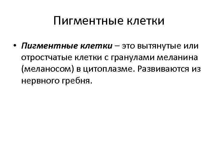 Пигментные клетки • Пигментные клетки – это вытянутые или отростчатые клетки с гранулами меланина